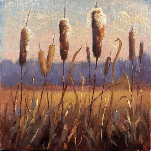 Autumn Cattails