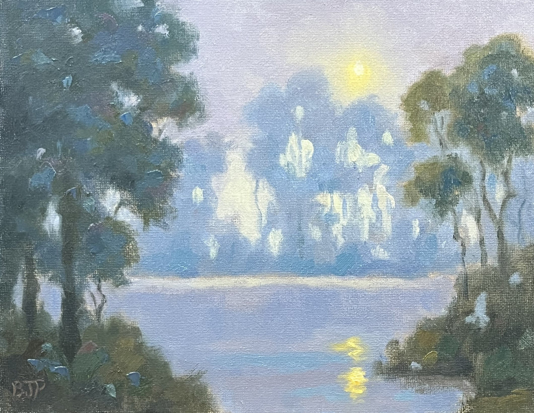 Misty Sunrise