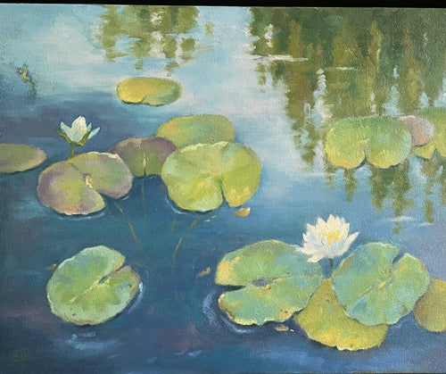 Lily Pond