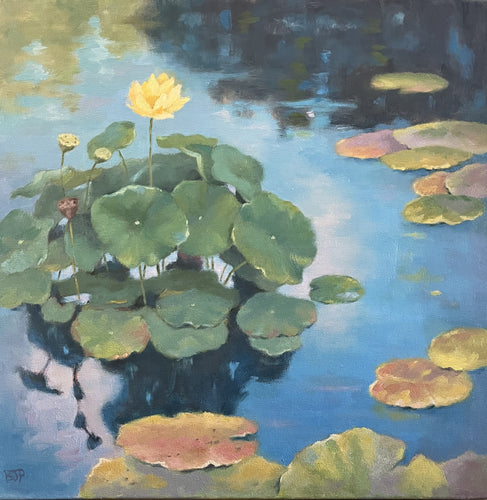 Waterlilies